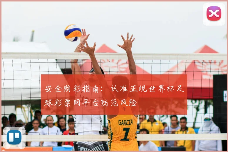 安全购彩指南：认准正规世界杯足球彩票网平台防范风险