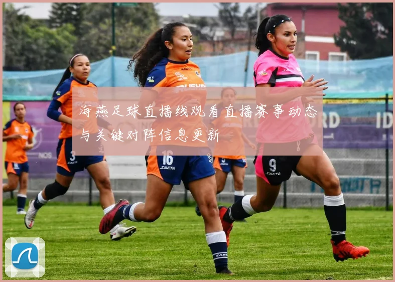 海燕足球直播线观看直播赛事动态与关键对阵信息更新