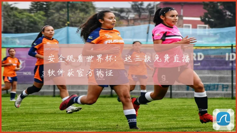 安全观看世界杯：这三款免费直播软件获官方认证
