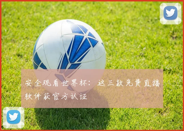 安全观看世界杯：这三款免费直播软件获官方认证