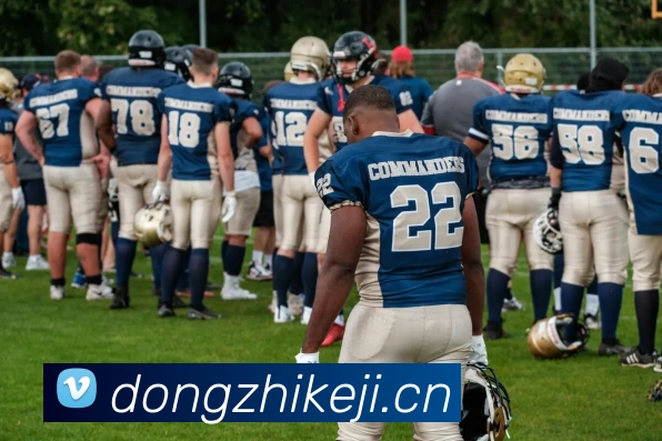 开云官方入口app平台生态图